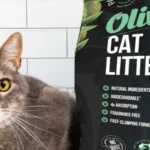 cat-litter